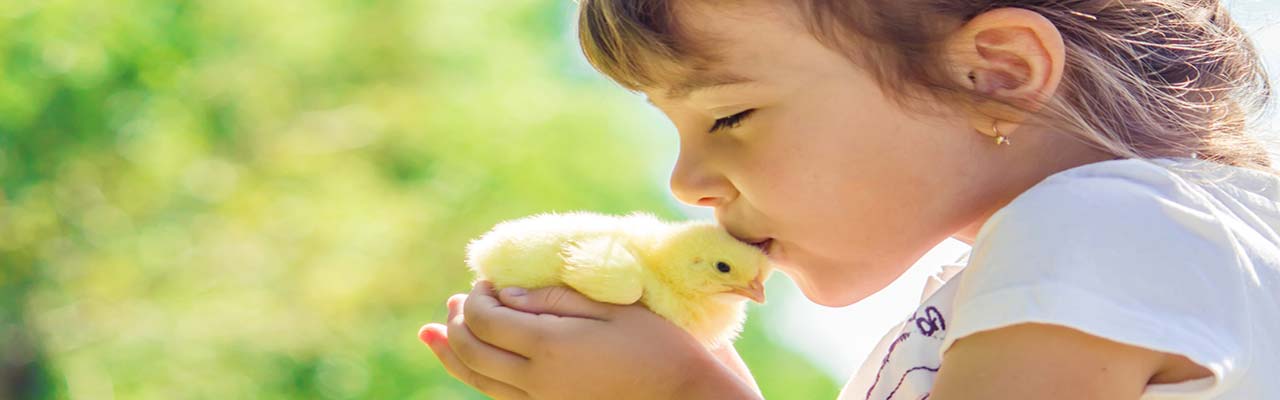 Boerderij met dieren voor kinderen