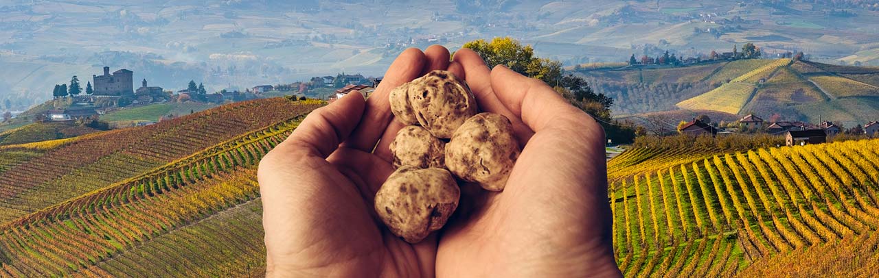Vakantie voor truffelliefhebbers