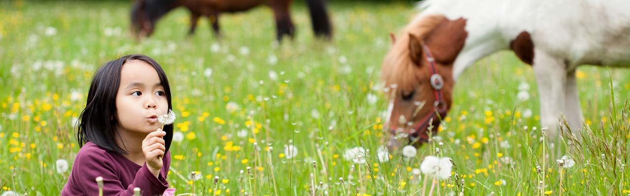 Toscaanse boerderijen met didactische boerderij