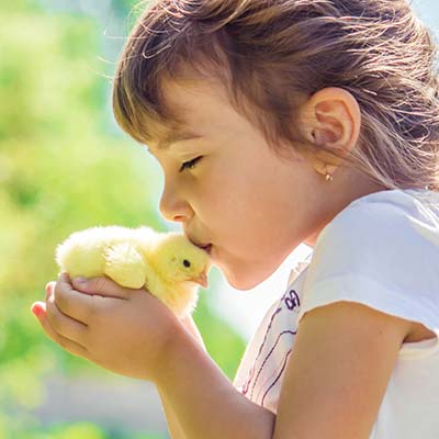 Familievakantie: boerderij met dieren voor kinderen
