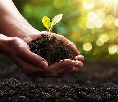 Vakantie in duurzame boerderijen in Italië